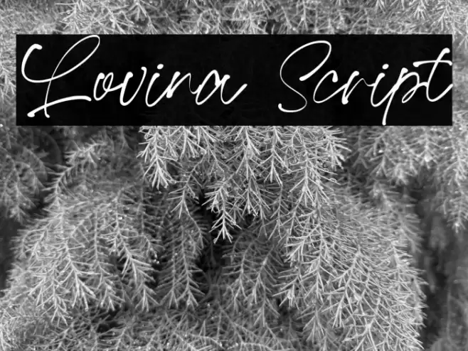 Lovina Script Font examples