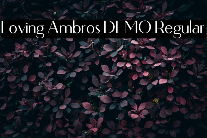 Loving Ambros DEMO Regular Example 2