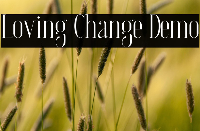 Loving Change Demo Example 2