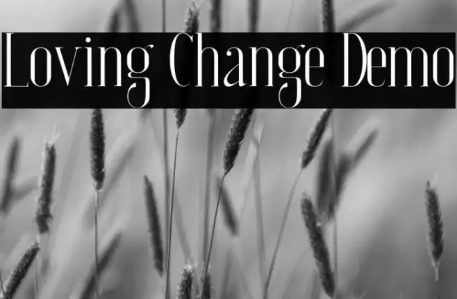 Loving Change Demo Font examples