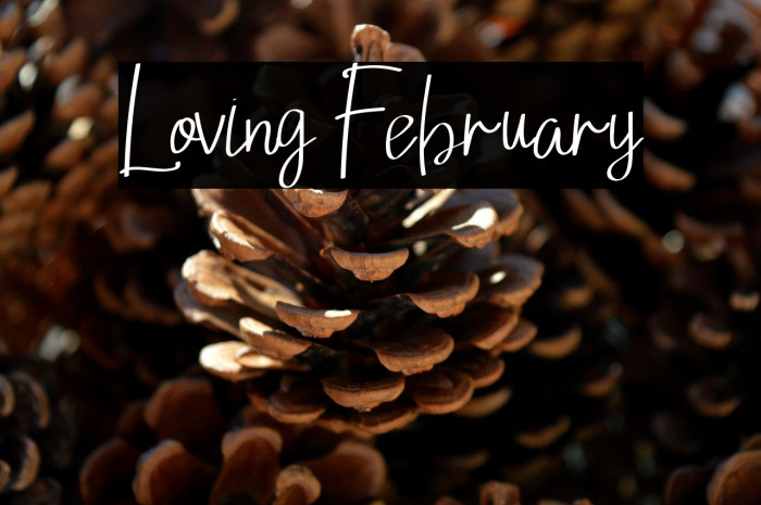 Loving February Example 1