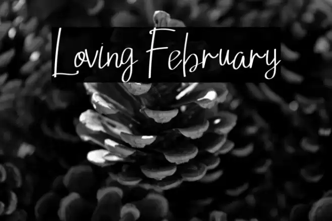 Loving February फ़ॉन्ट examples