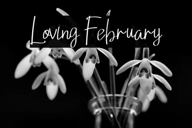Loving February फ़ॉन्ट examples