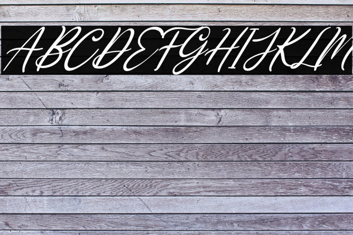 Loving Gabriella Italic Example 2