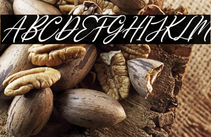 Loving Gabriella Italic Example 3