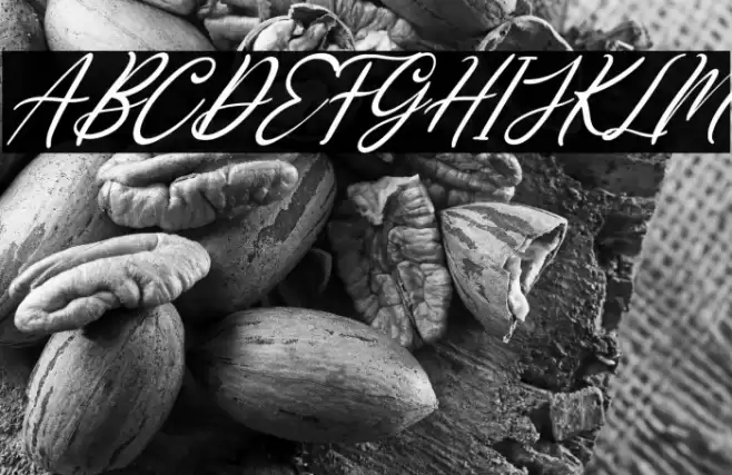 Loving Gabriella Italic Caratteri examples