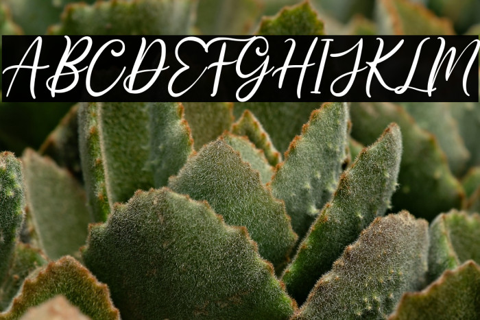 Loving Gabriella Example 1