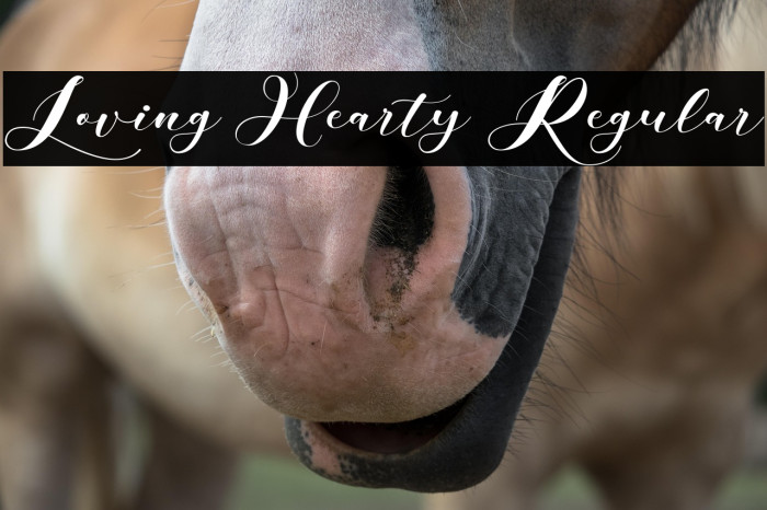 Loving Hearty Regular Example 3