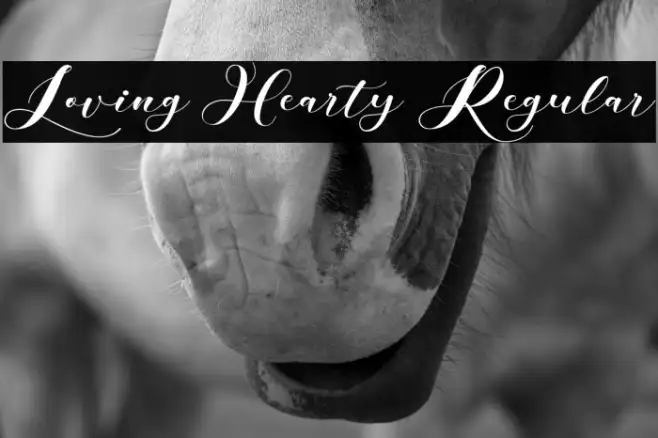 Loving Hearty Regular Example 3