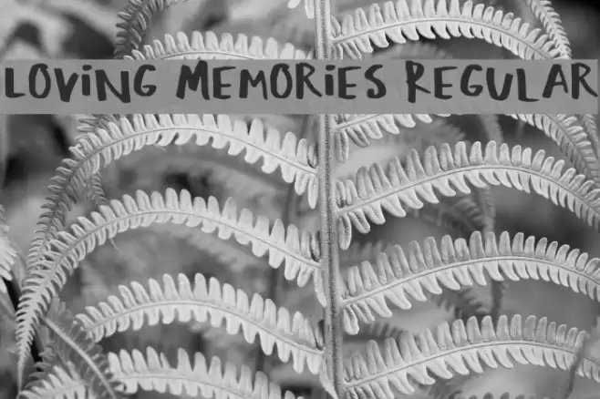 Loving Memories Regular Font examples