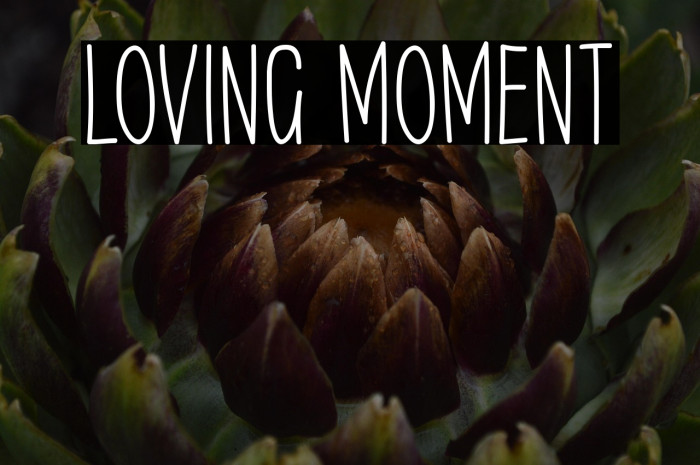 Loving Moment Example 3