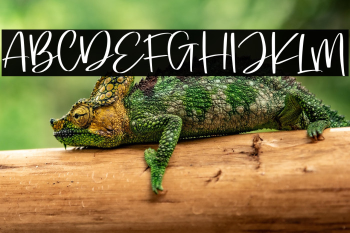 Loving Paris Example 1