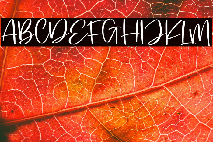 Loving Paris Example 3