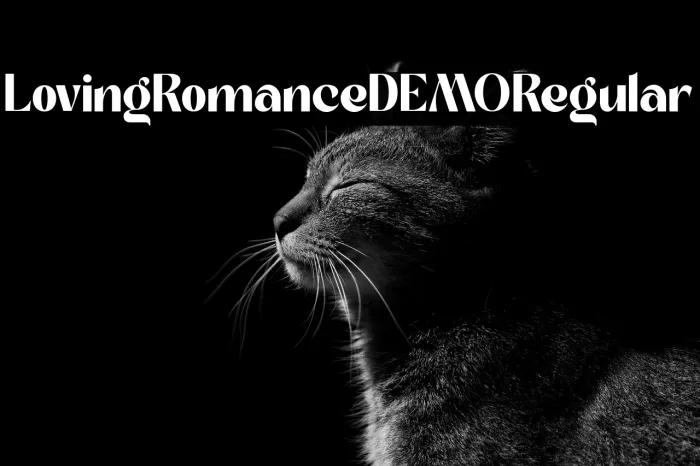 Loving Romance DEMO Regular Example 1