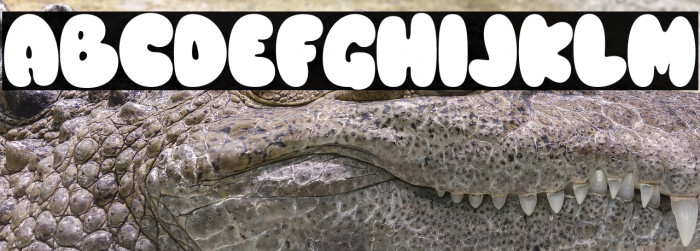 Loving Snow Trial Regular Example 2