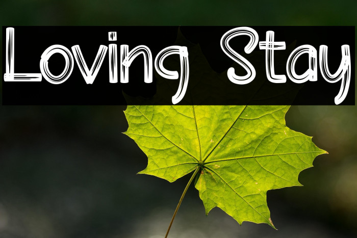 Loving Stay Example 3