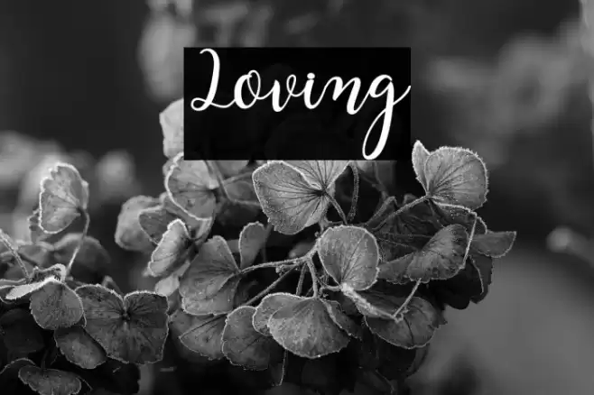 Loving Font examples