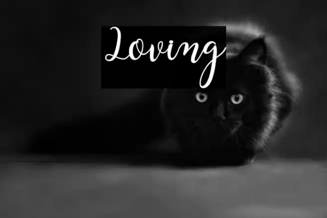 Loving Font examples