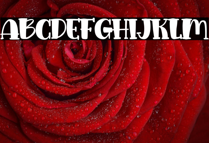 Lovingkitten-Regular Example 2