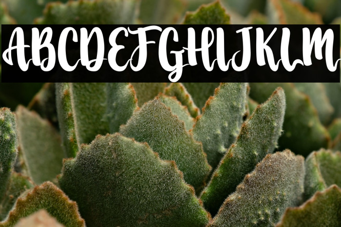 Lovingwave Example 2