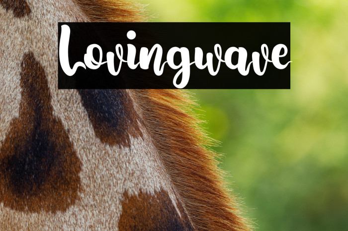 Lovingwave Example 1