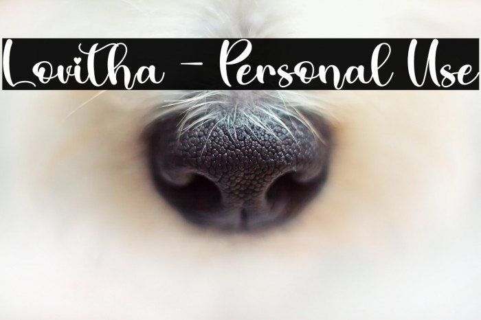 Lovitha - Personal Use Example 3