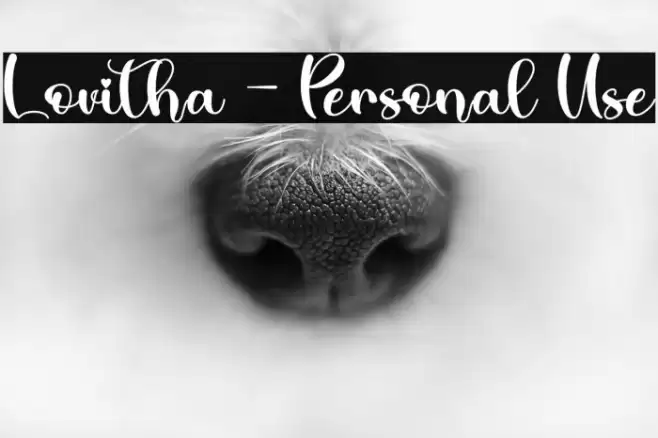 Lovitha - Personal Use Font examples