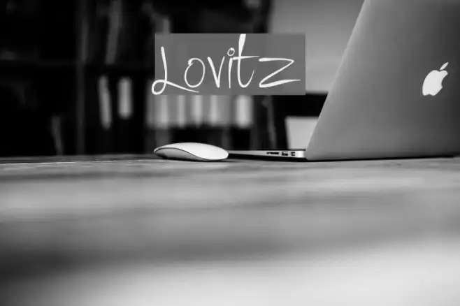 Lovitz Example 2