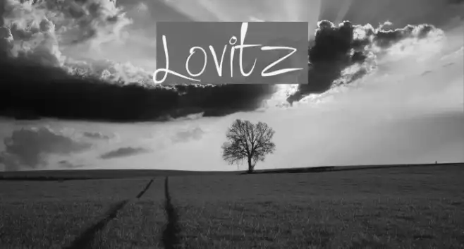 Lovitz Example 3