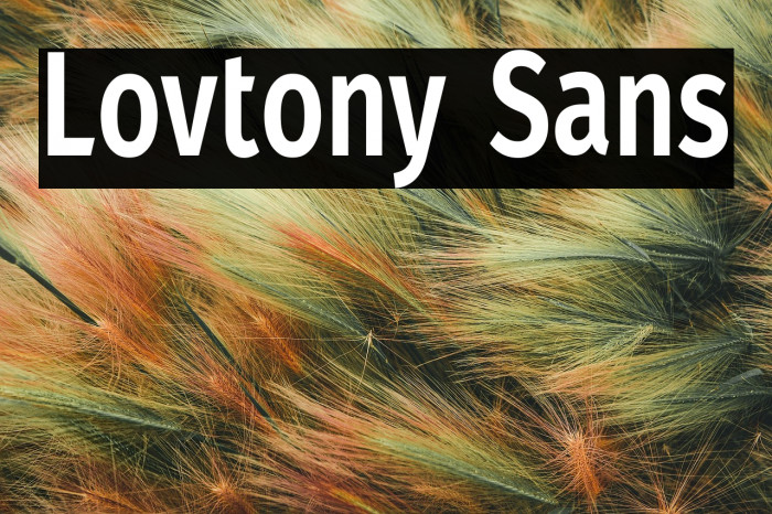 Lovtony Sans Example 2
