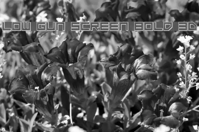 Low Gun Screen Bold 3D Шрифта examples