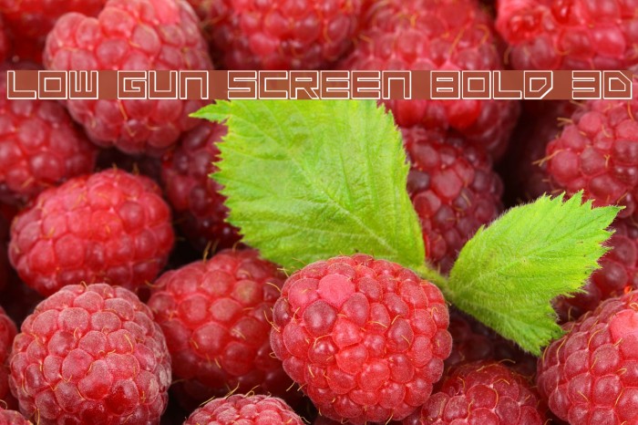 Low Gun Screen Bold 3D Font examples