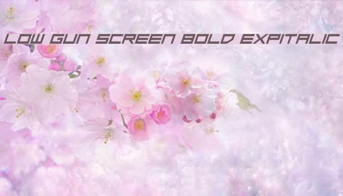 Low Gun Screen Bold ExpItalic Font examples