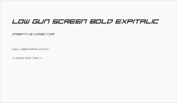 Low Gun Screen Bold ExpItalic Business Card