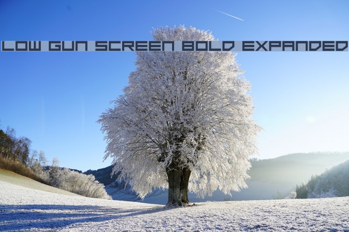 Low Gun Screen Bold Expanded Font examples