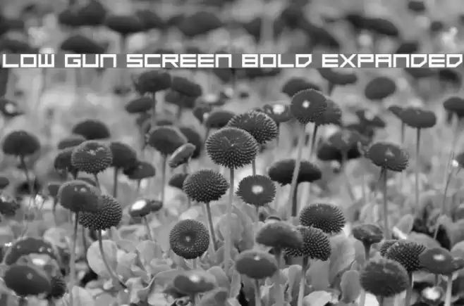 Low Gun Screen Bold Expanded Font examples