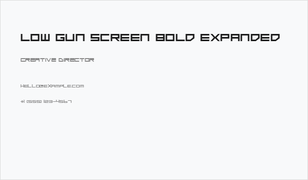 Low Gun Screen Bold Expanded Business Card