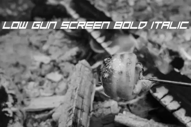 Low Gun Screen Bold Italic Font examples