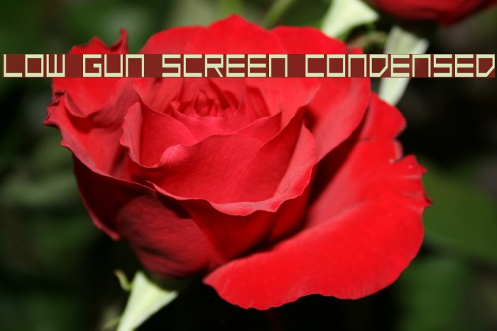 Low Gun Screen Condensed फ़ॉन्ट examples