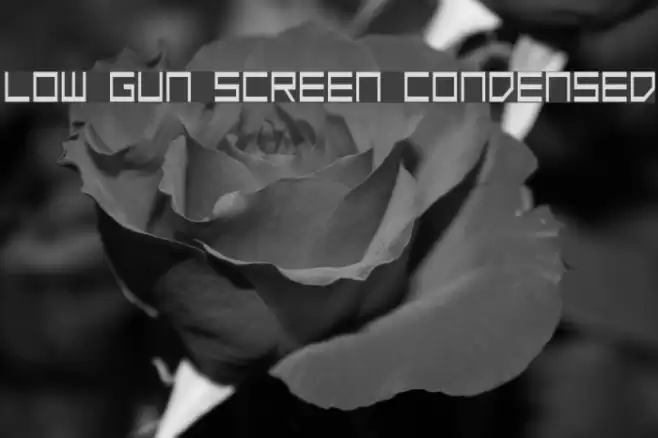 Low Gun Screen Condensed Schriftart examples