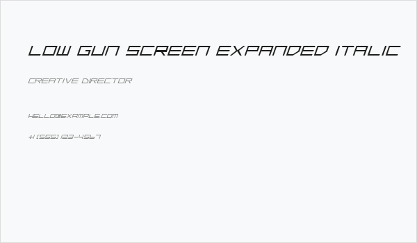 Low Gun Screen Expanded Italic Business Card