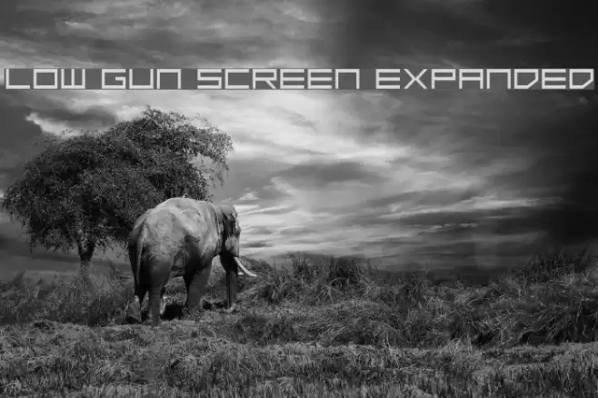 Low Gun Screen Expanded Font examples