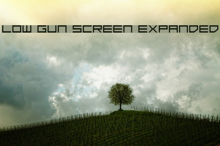 Low Gun Screen Expanded Font examples
