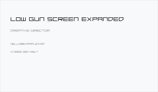 Low Gun Screen Expanded Business Card