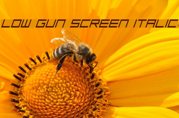 Low Gun Screen Italic Font examples