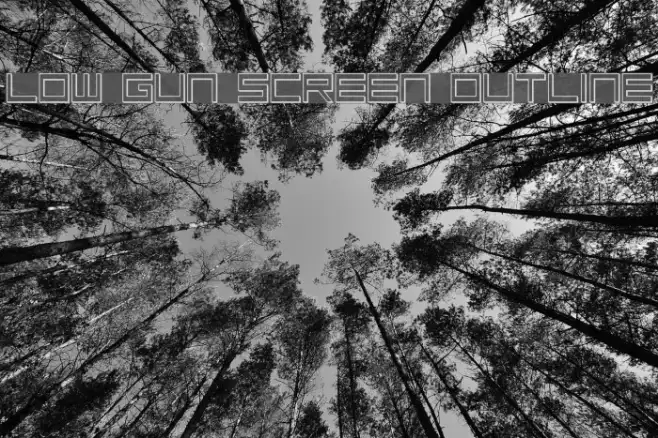 Low Gun Screen Outline Example 3