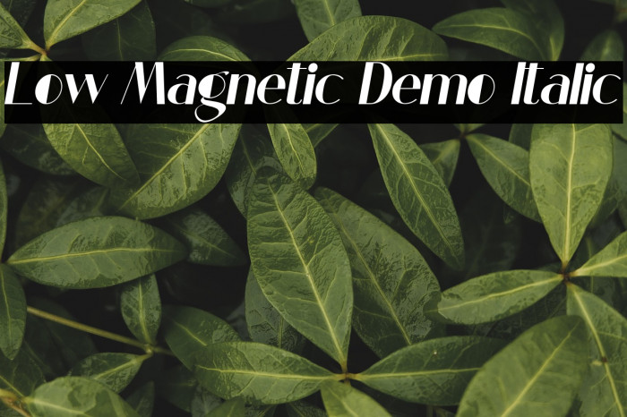 Low Magnetic Demo Italic Example 1
