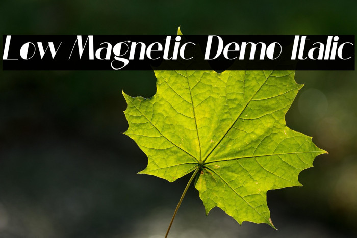 Low Magnetic Demo Italic Example 2