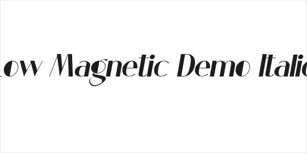 Low Magnetic Demo Italic Logo