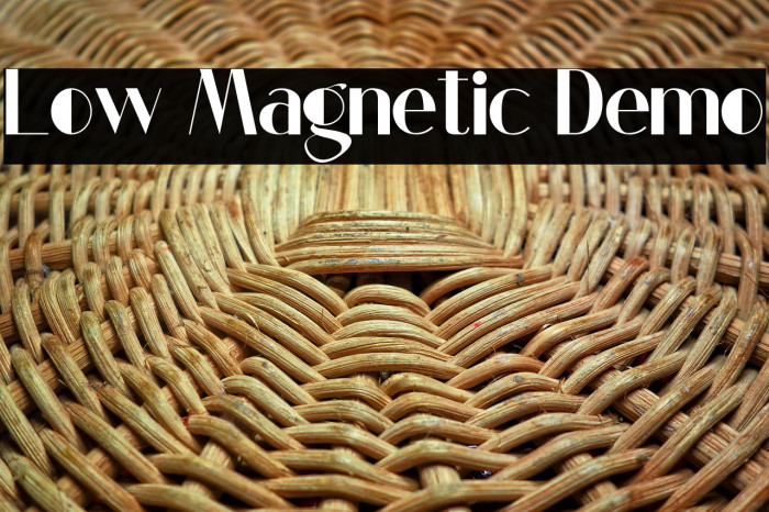 Low Magnetic Demo Example 1